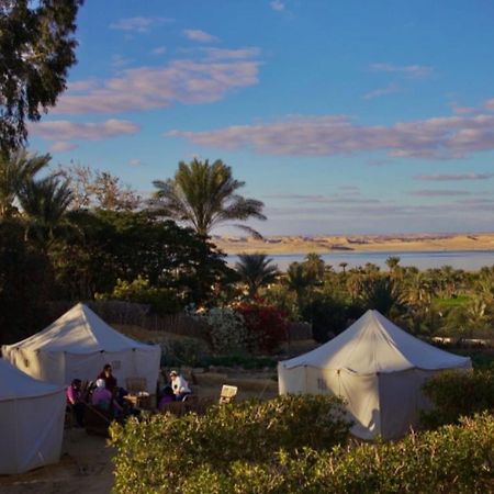 Tunis Village El-Fayoum Екстериор снимка