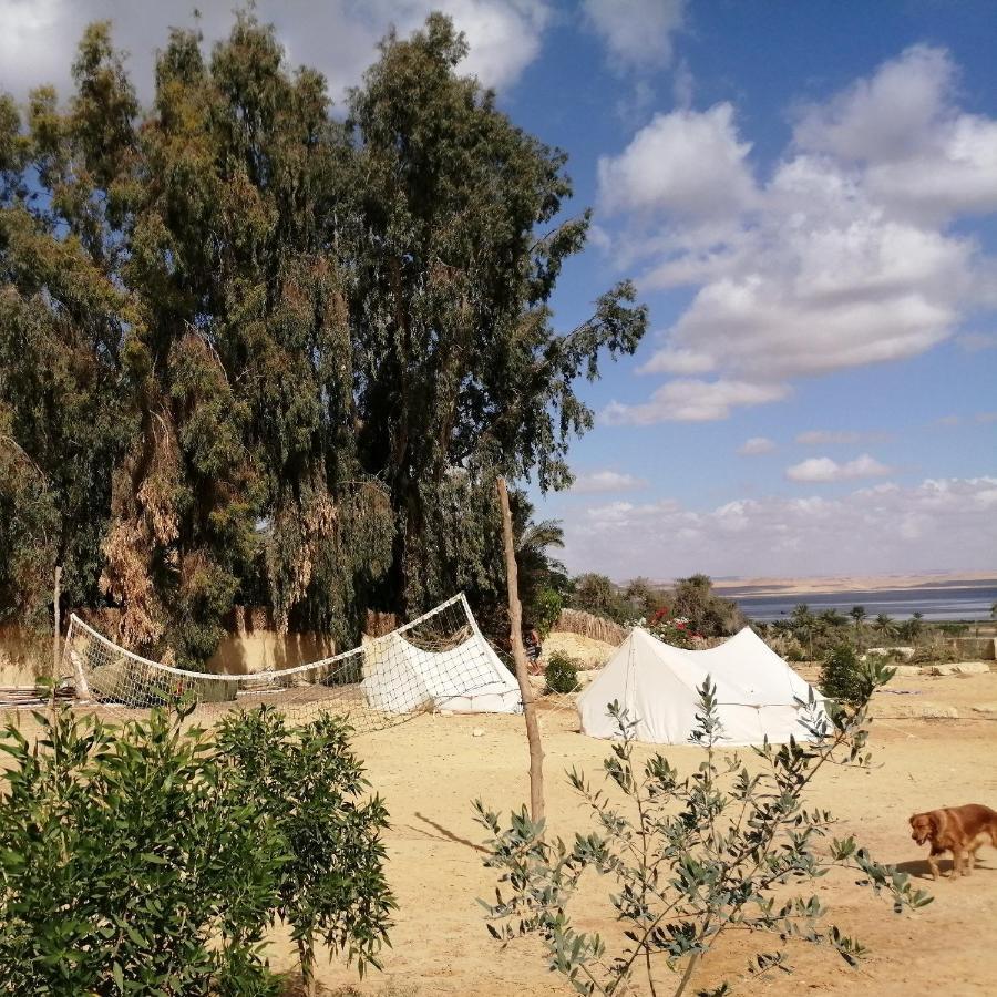 Tunis Village El-Fayoum Стая снимка